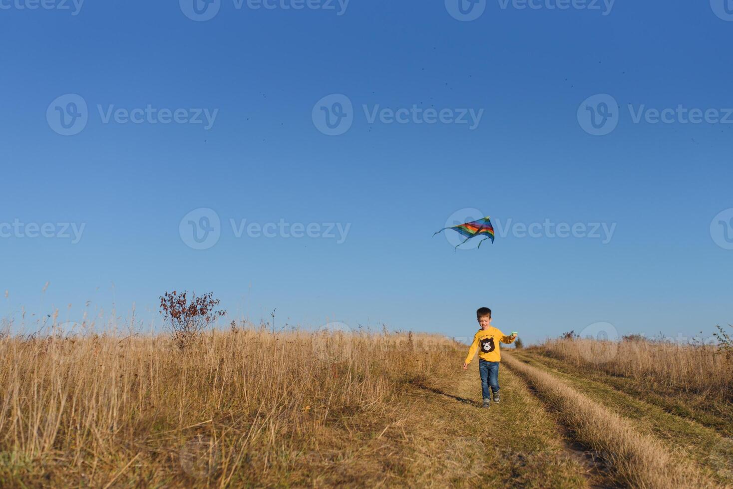 pequeño chico con cometa volador terminado su cabeza foto