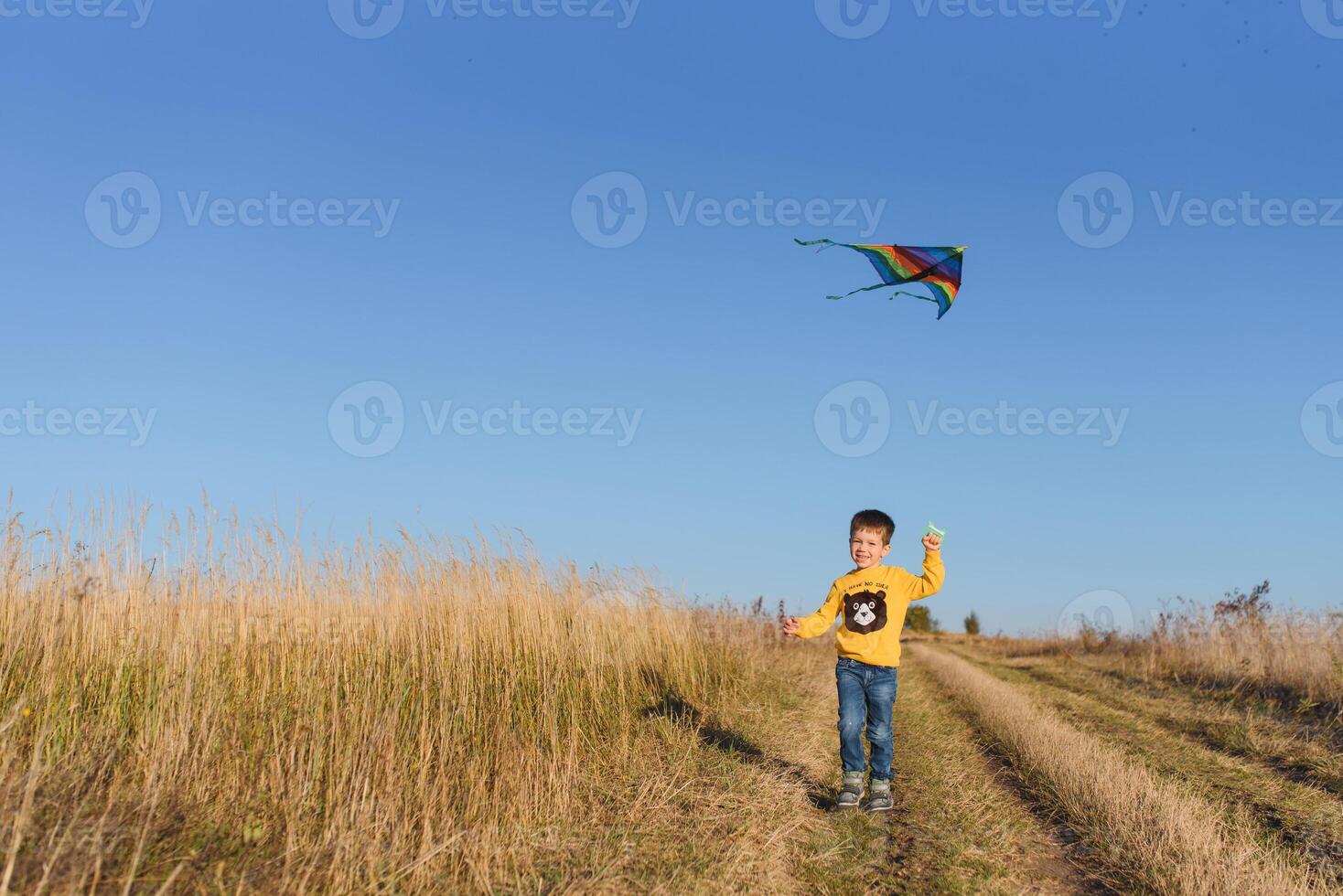 Little boy playing with kite on meadow. Childhood concept photo