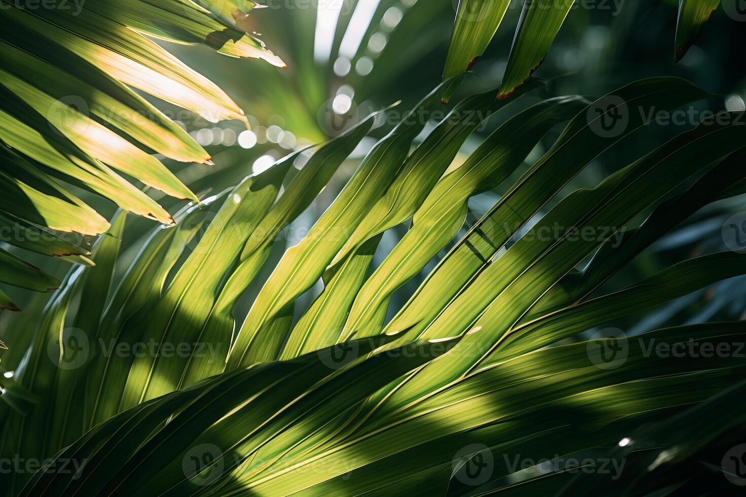 ai generado luz de sol filtración mediante palma frondas en el tarde. generativo ai foto