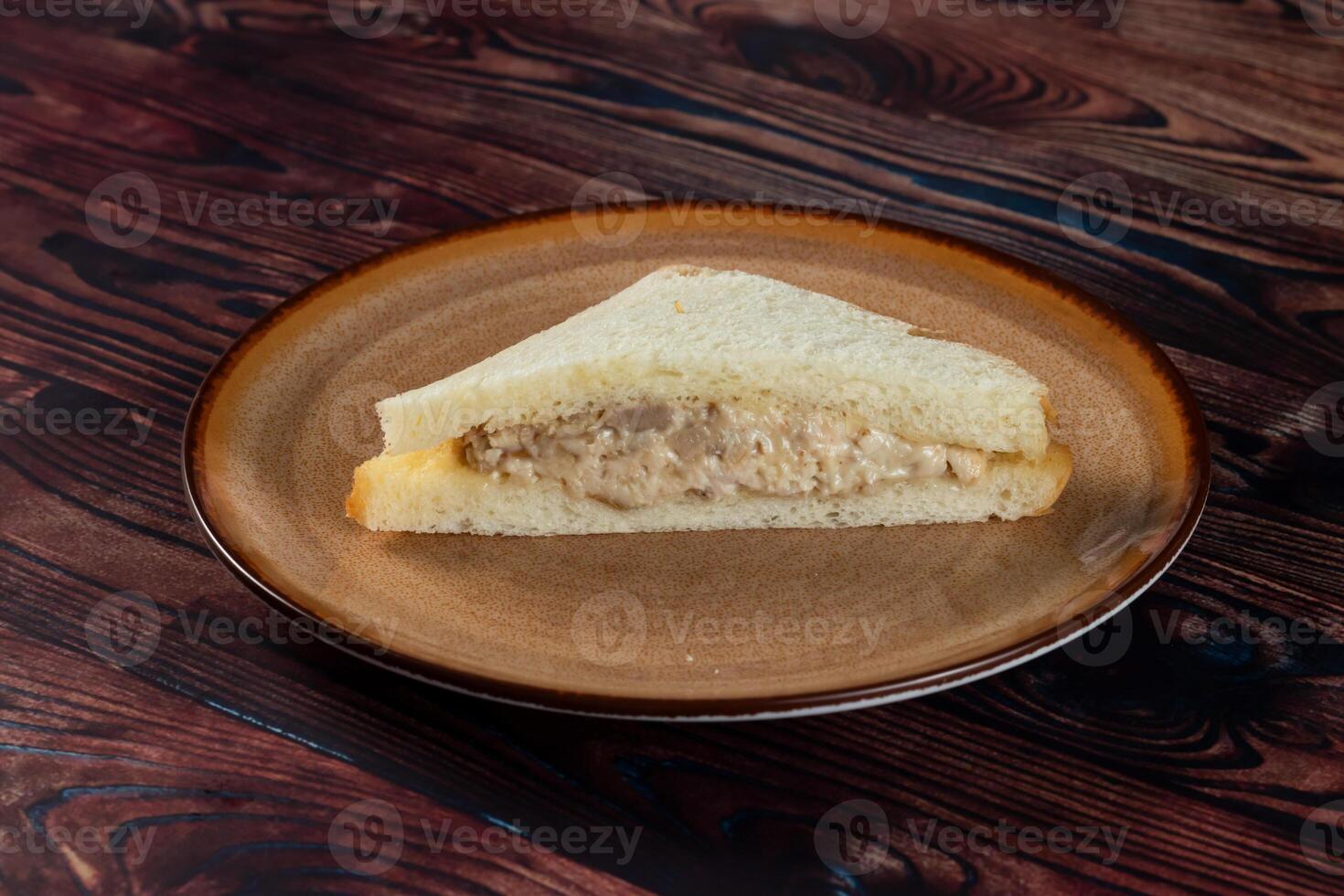 Fresh club sandwich filled with chicken and mayo dip isolated on table top view of indian food photo