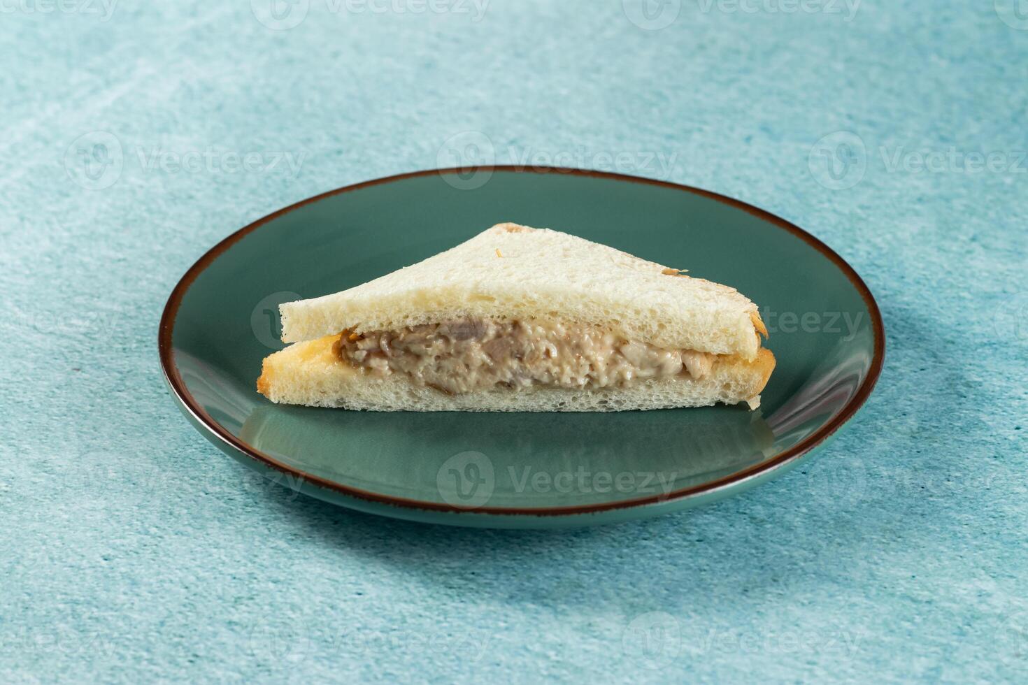 Fresh club sandwich filled with chicken and mayo dip isolated on table top view of indian food photo