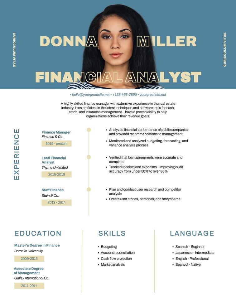 finance resume template design ideas