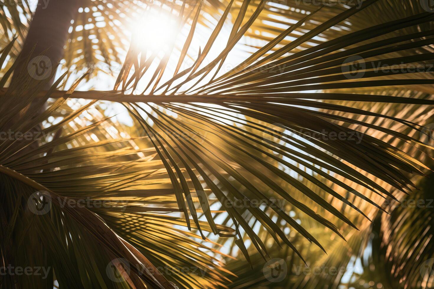 ai generado luz de sol filtración mediante palma frondas en el tarde. generativo ai foto