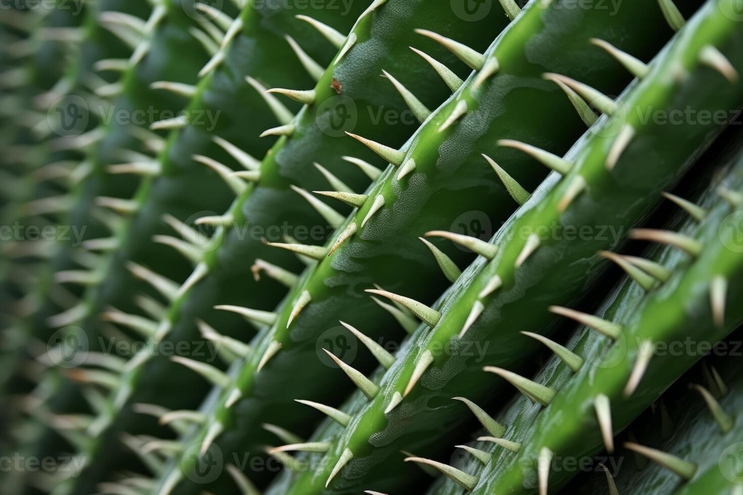 AI generated An extreme close-up of the texture of a cactus spine. Generative AI photo