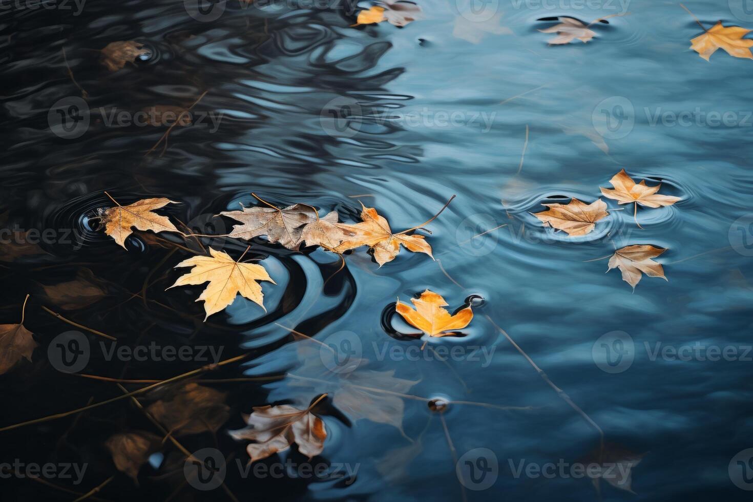 AI generated Leaves floating on the surface of a calm pond. Generative AI photo