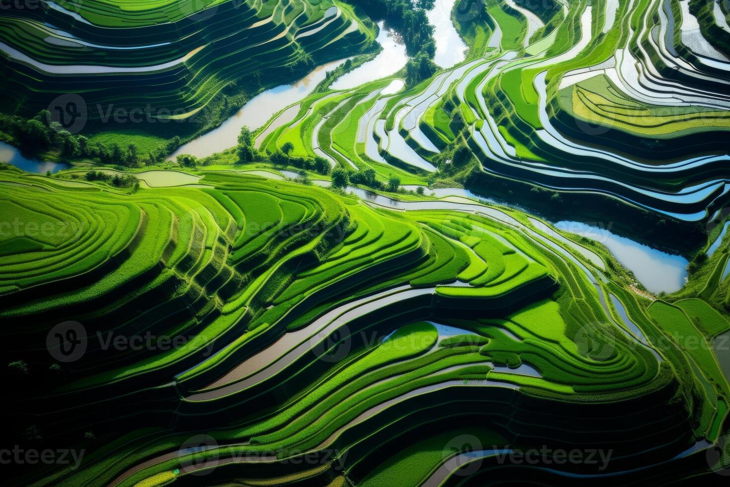 AI generated Aerial view capturing the beauty of geometric patterns in terraced paddy fields. Generative AI photo