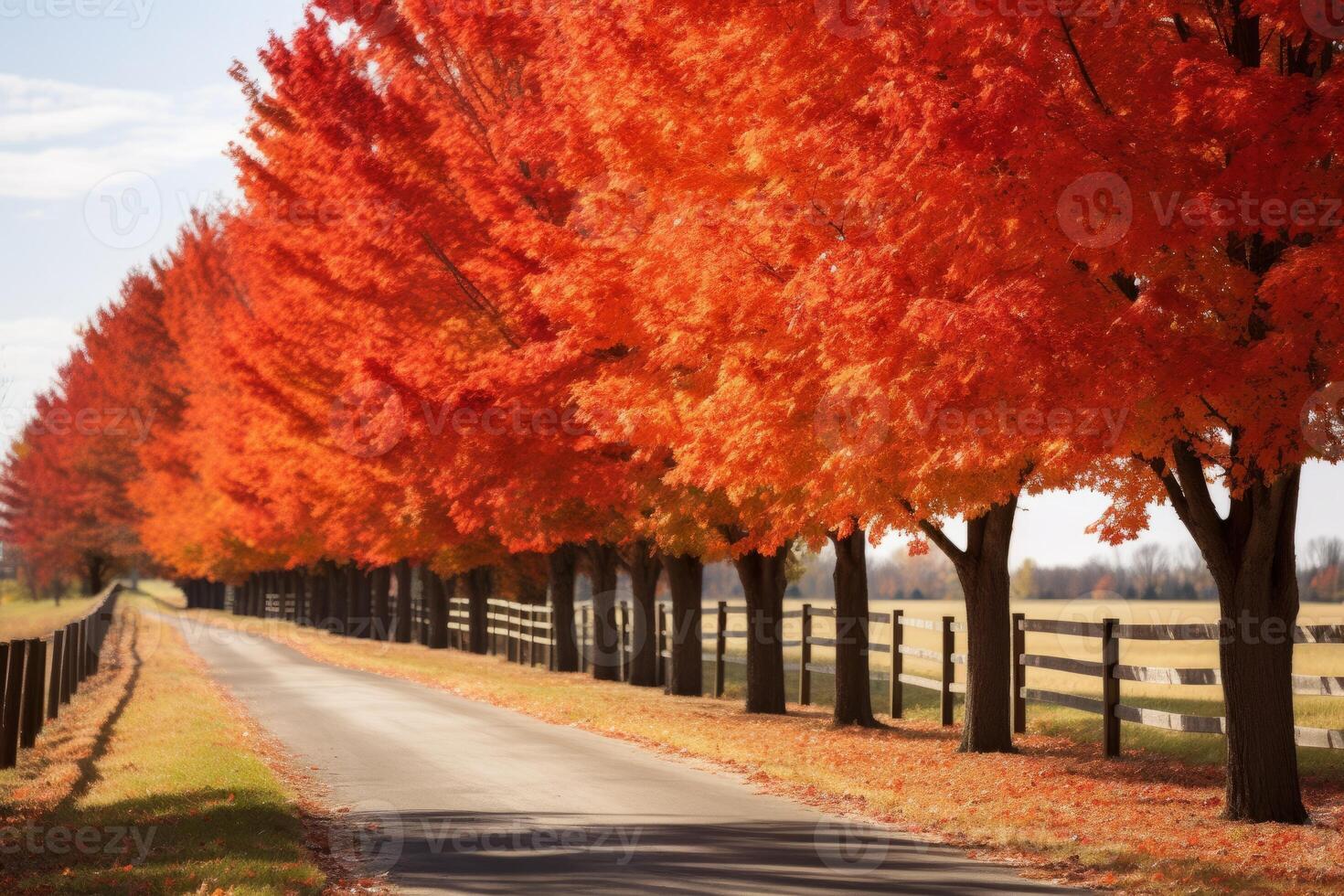 AI generated Red maple trees lining a peaceful countryside road. Generative AI photo