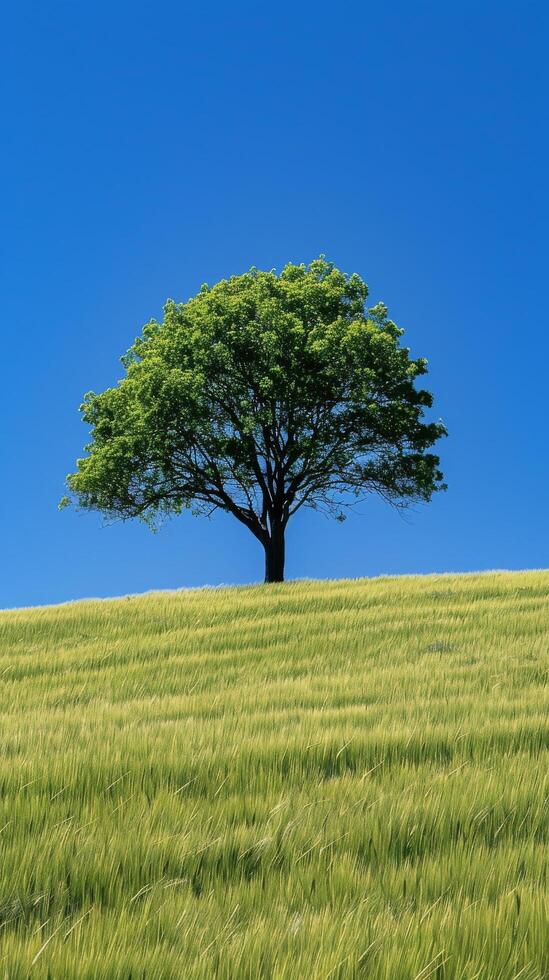 AI generated Lone Tree on Grassy Hill Under Blue Sky photo