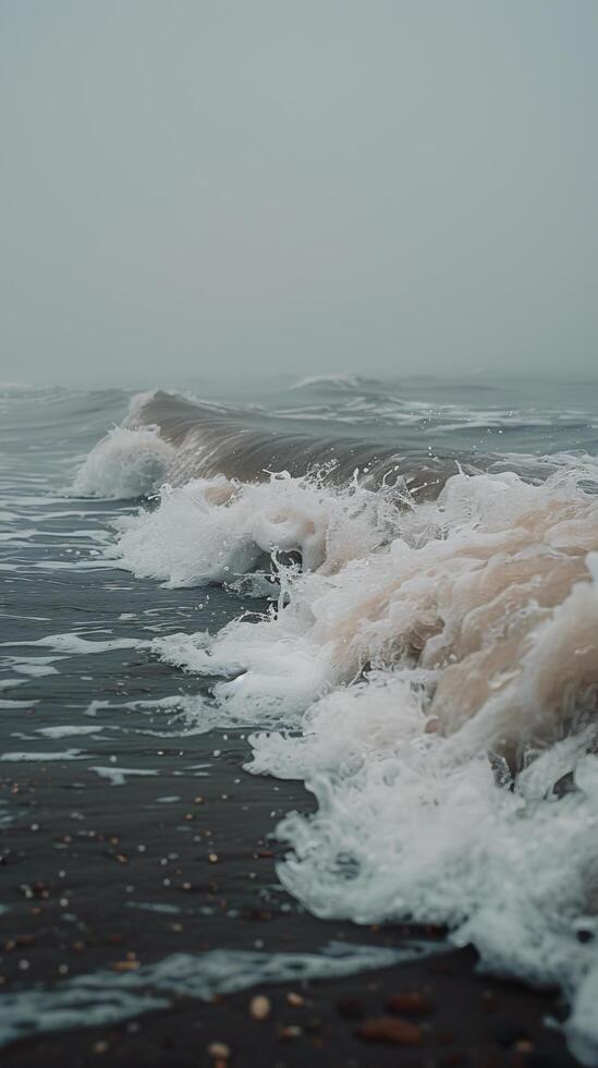 AI generated Seashore in Black and White photo