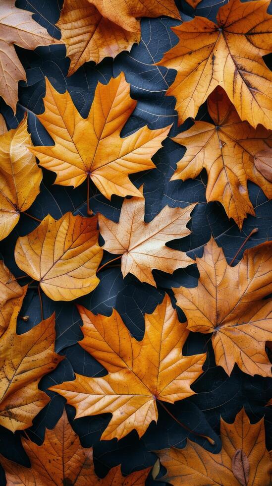 AI generated Piles of Fallen Leaves photo