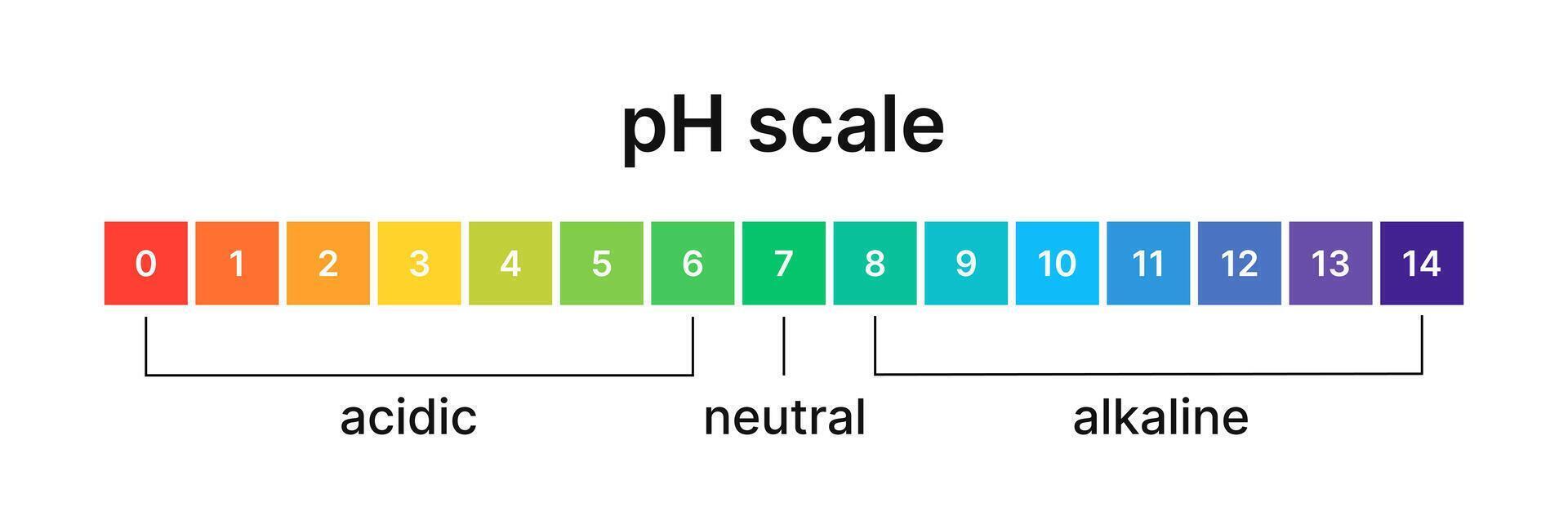 Ph level of acid and alkaline balance. Scale indicator for litmus paper test. Vector isolated infographics on white background.