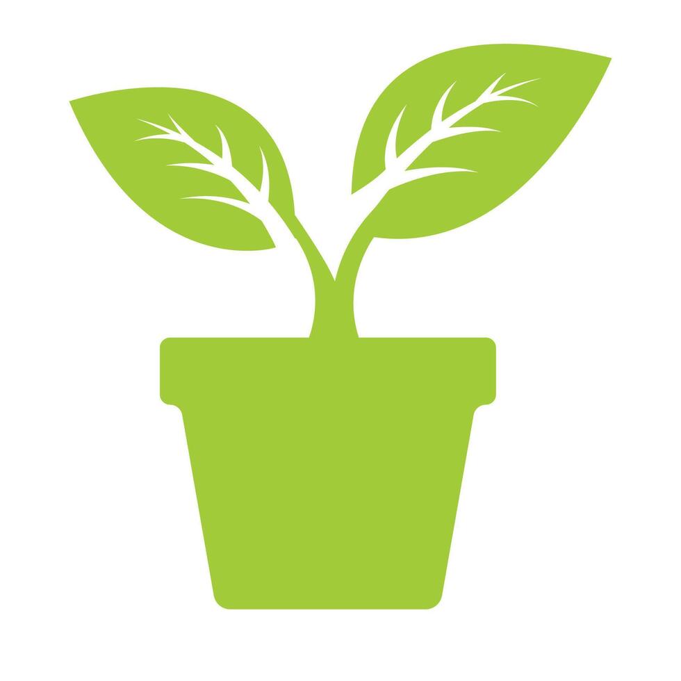 Leaf and pot icon vector