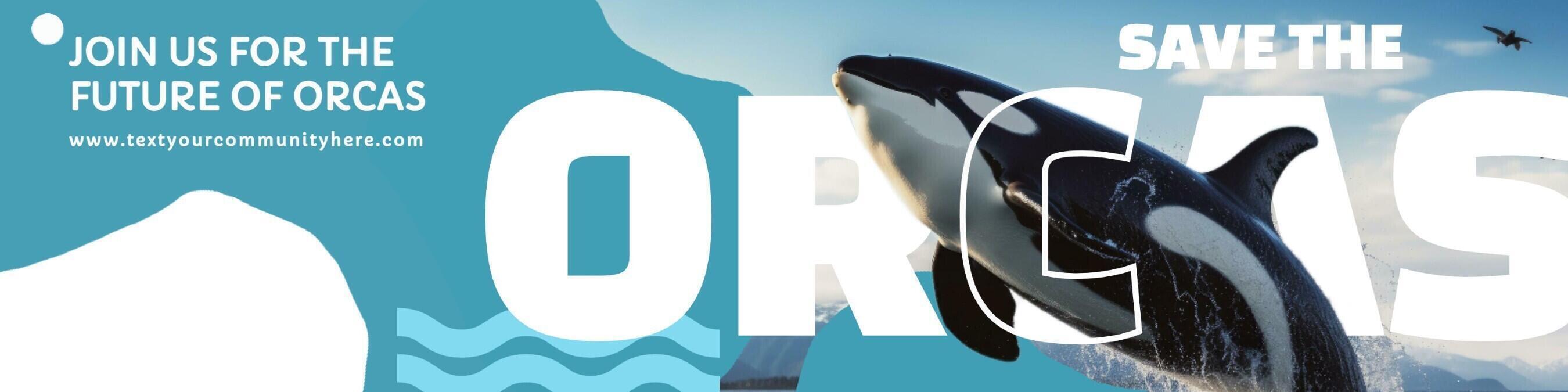 Orca Conservation Volunteer Linkedin Banner template