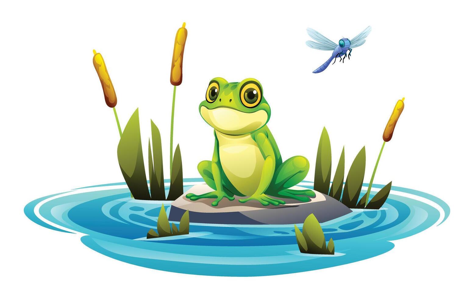 Frog sitting on a rock in pond with dragonfly. Vector cartoon illustration