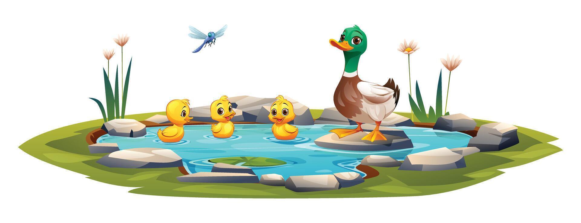 Duck and ducklings swimming in the pond. Vector cartoon illustration