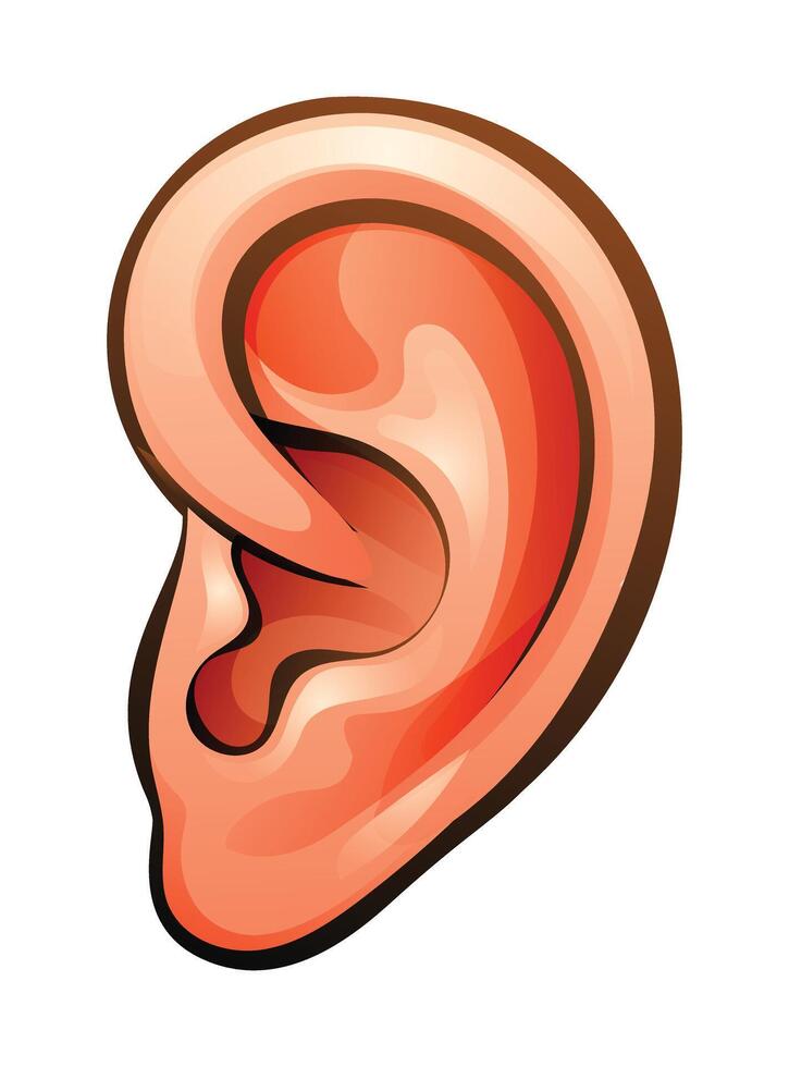 Ear vector cartoon illustration isolated on white background