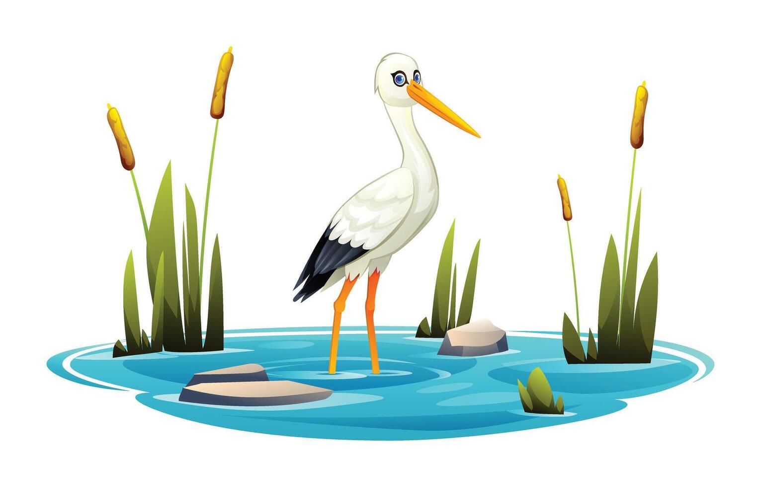 White stork in a pond. Vector cartoon illustration isolated on white background