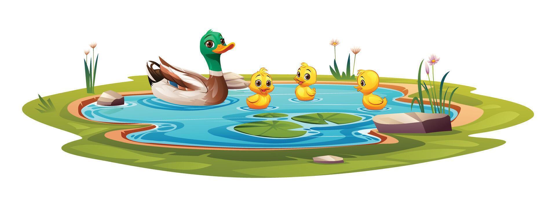 Duck and little ducklings swimming in the pond. Vector cartoon illustration isolated on white background