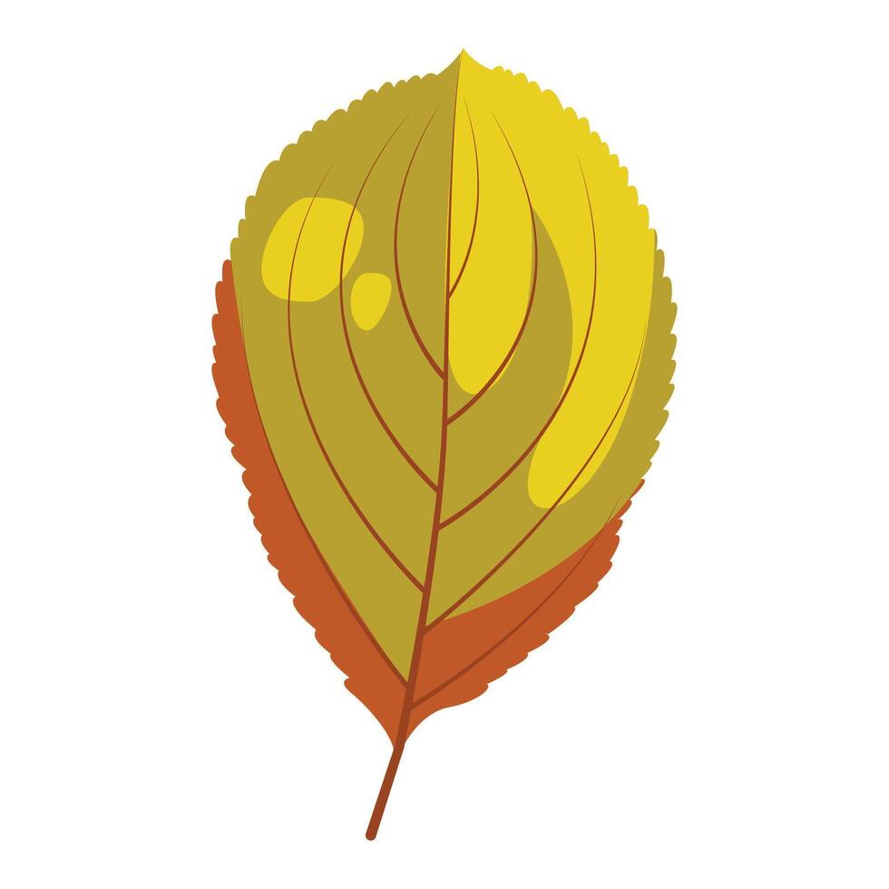 Aronia chokeberry leaf vector icon