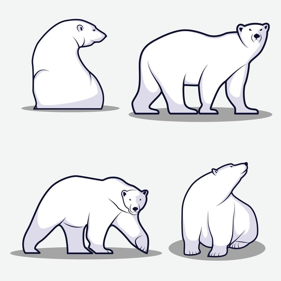 Polar bear vector as wild animal