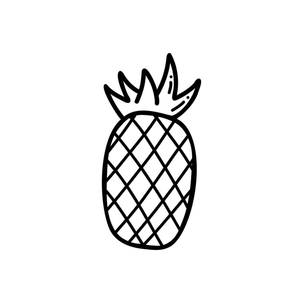 Pineapple vector icon in doodle style. Drawing sketch illustration hand drawn line. for print, postcard, design menu, textile, poster, textile or advertising.