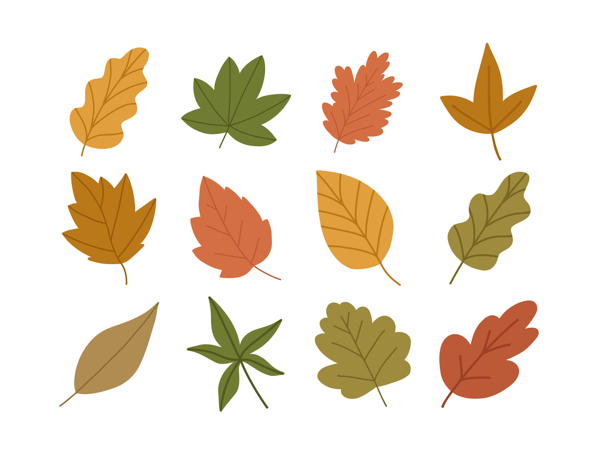 Set of hand drawn autumn leaves, cartoon flat vector illustration ...