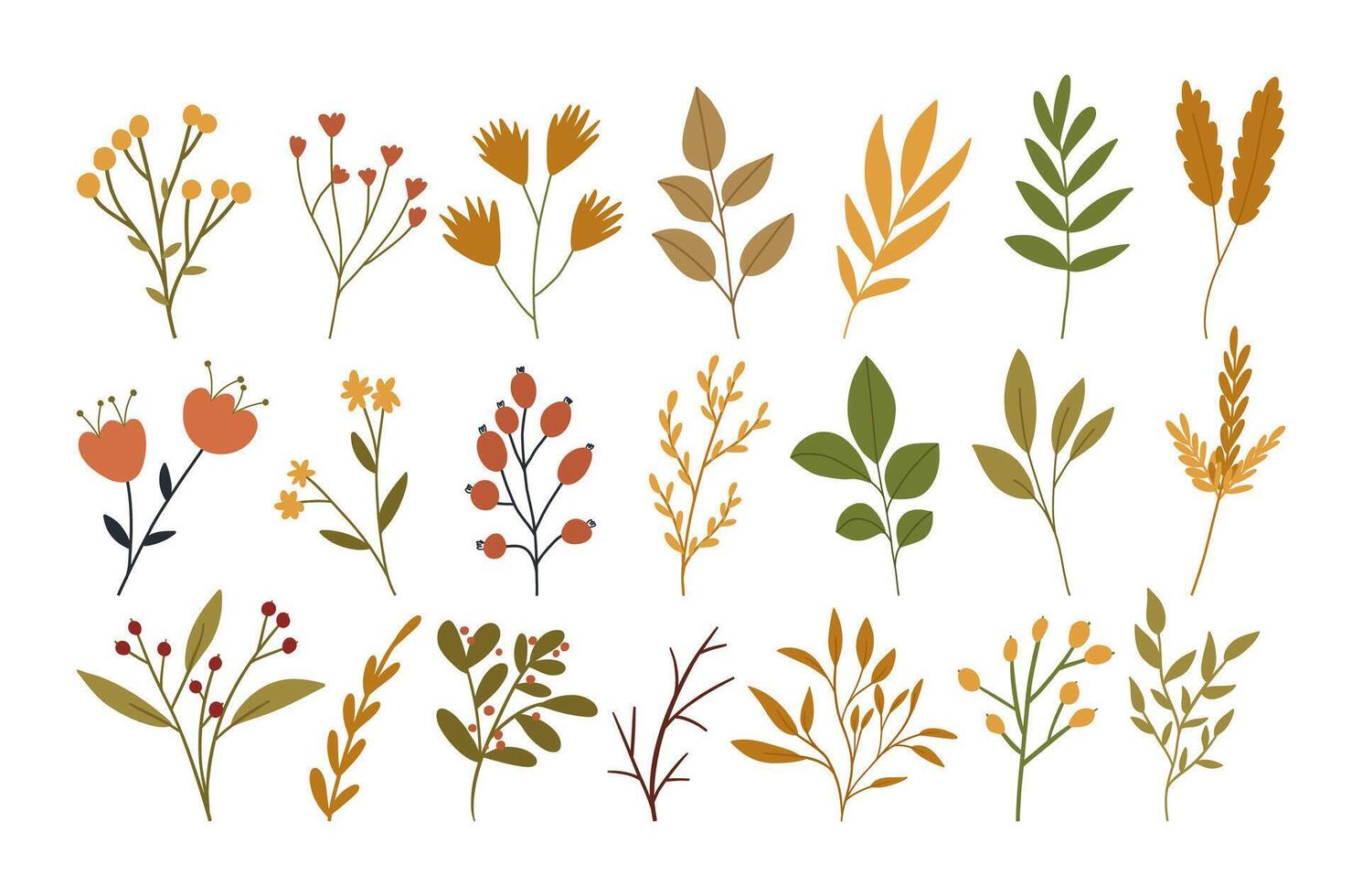 Set of autumn flowers, plants and berries, cute flat vector illustration isolated on white background. Collection of hand drawn fall botany elements for seasonal designs.