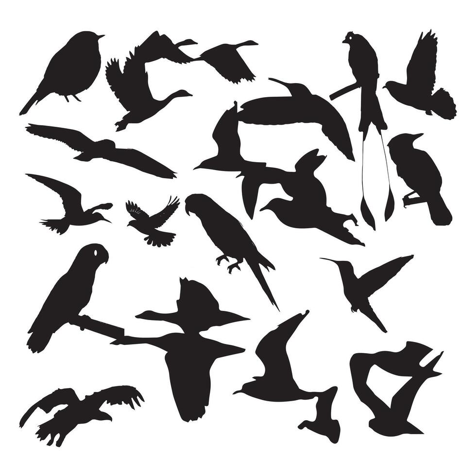 Creative  Silhouette Vector Of Flying Seagulls In The Air Black Colored Fully Scalable.