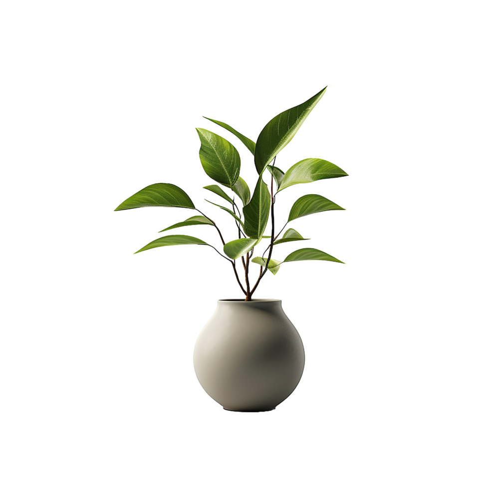 AI generated A vase plant png isolated on transparent background