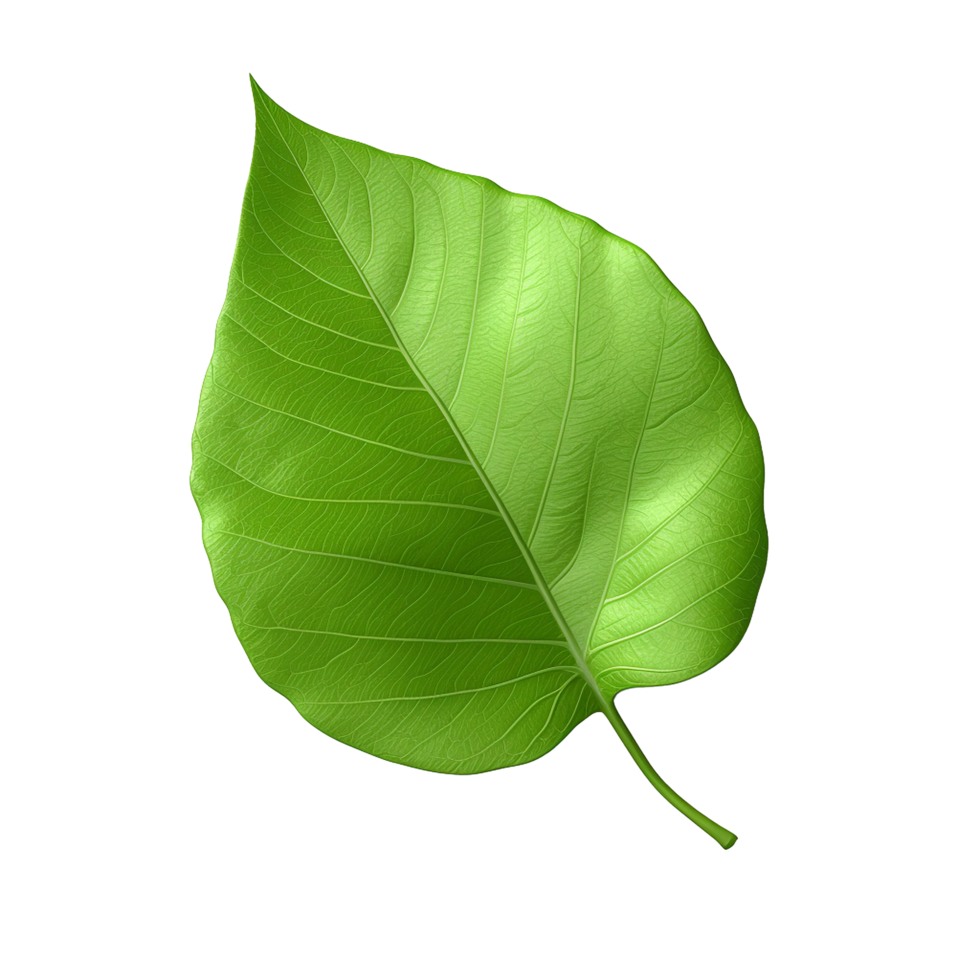 AI generated 3d render of a leaf png isolated on transparent background