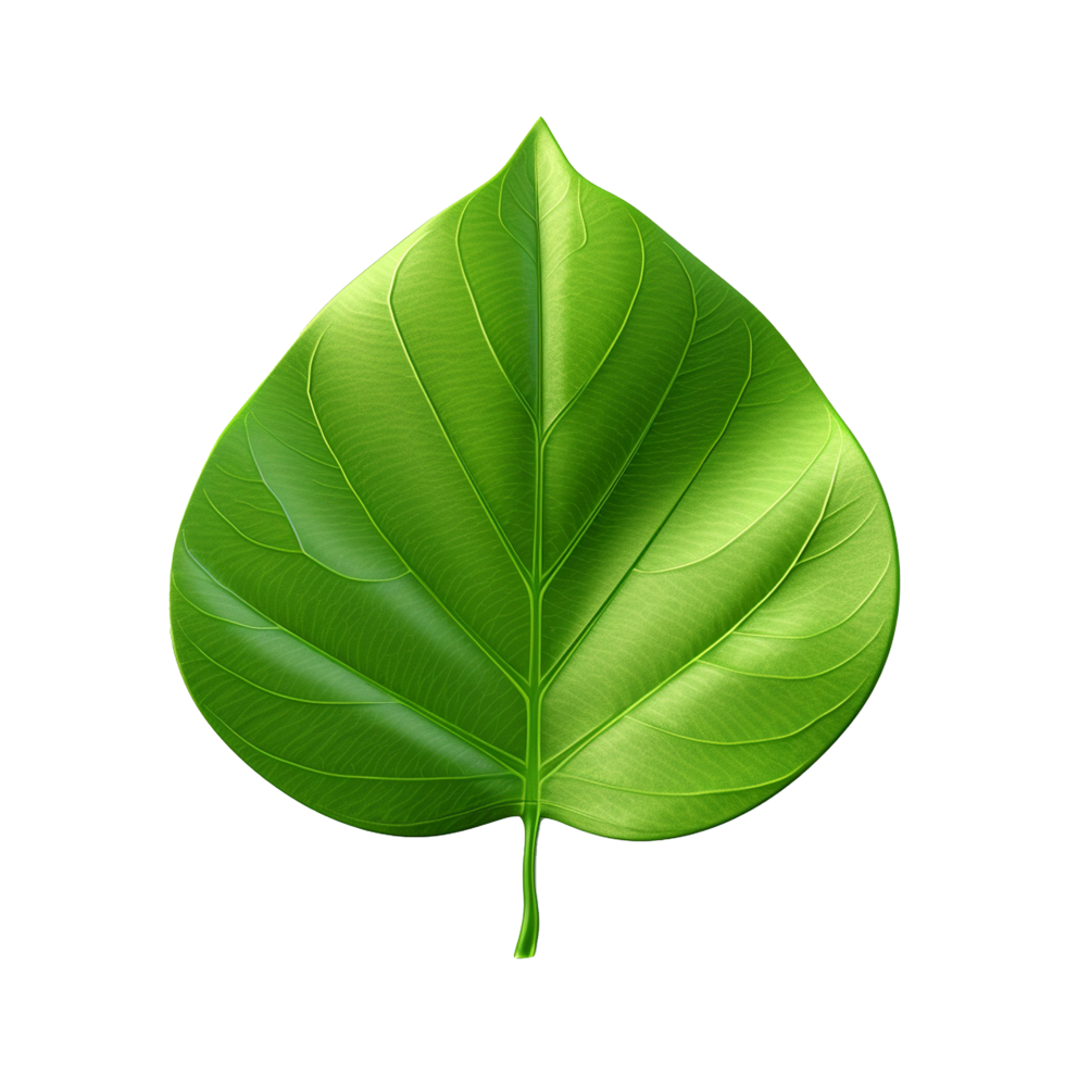 AI generated 3d render of a leaf png isolated on transparent background