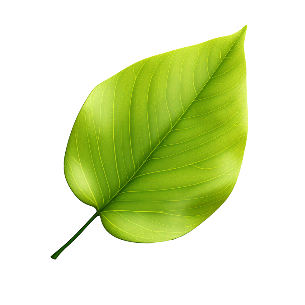 AI generated 3d render of a leaf png isolated on transparent background