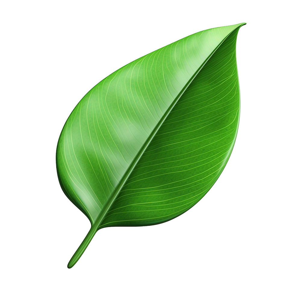 AI generated 3d render of a leaf png isolated on transparent background