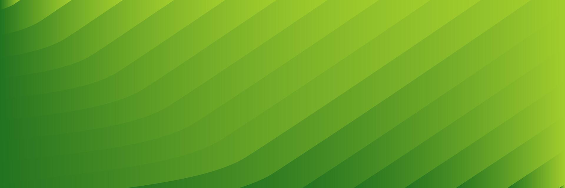 abstract elegant green background with lines vector