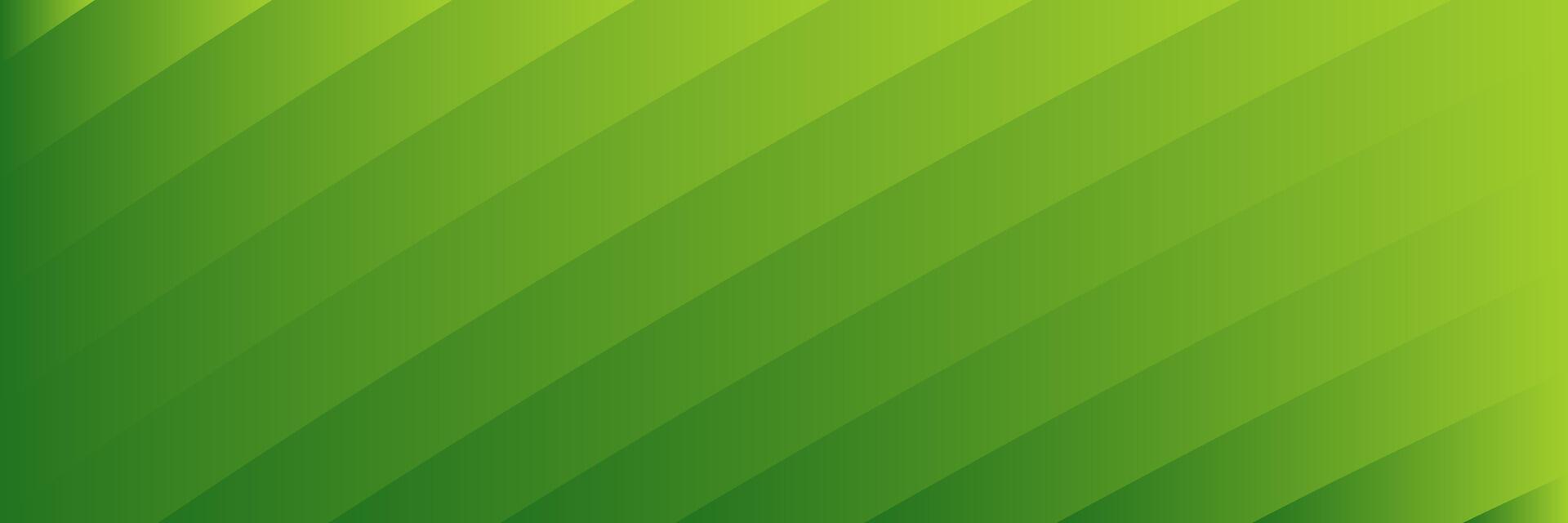 abstract elegant green background with lines vector