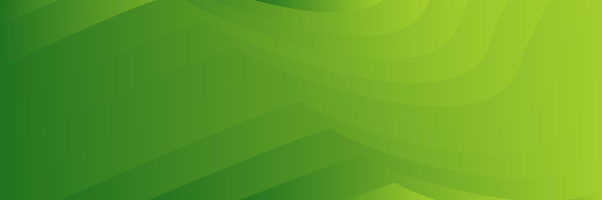abstract elegant green background with lines vector