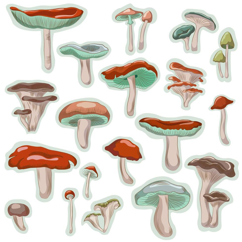 Hand drawn colorful edible mushrooms vector illustration collection