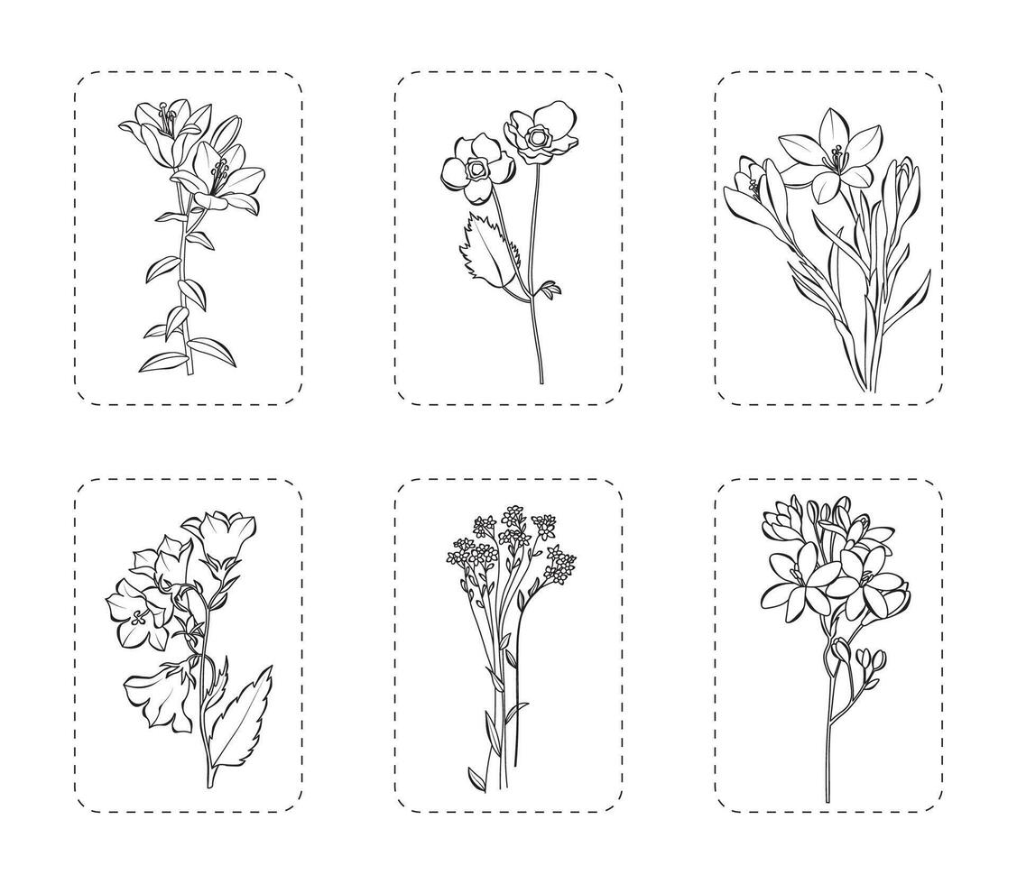 Set of 6 flowers vector illustration. Botanical flowers outline with leaves, isolated on white background. Flowers for spring, summer design or coloring book.