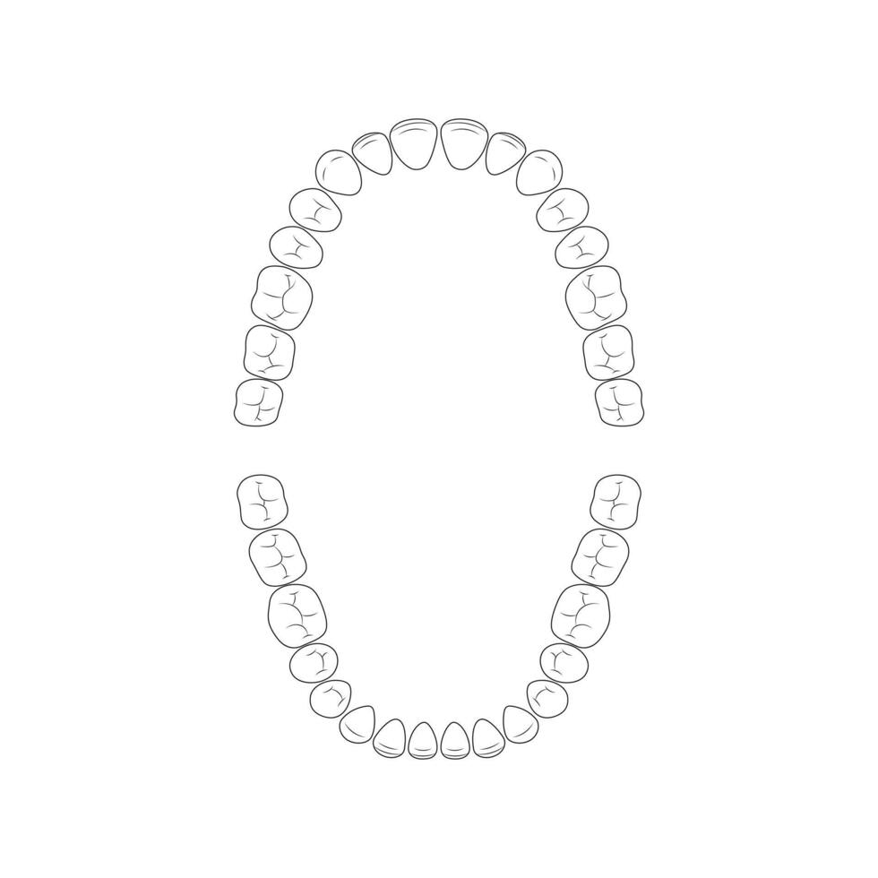 Teeth doodle vector illustration