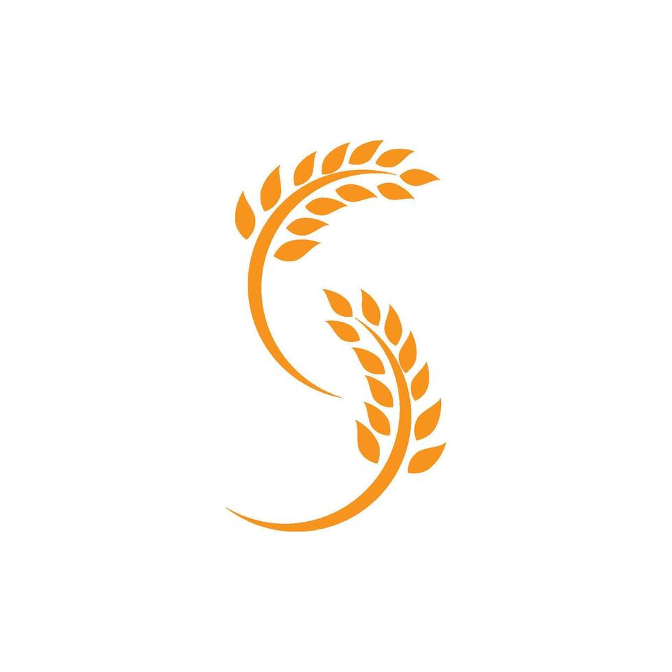Wheat Logo icon vector