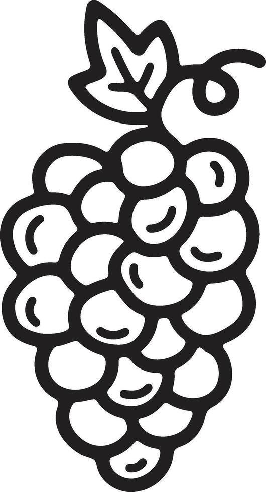 Hand Drawn grape in flat style vector