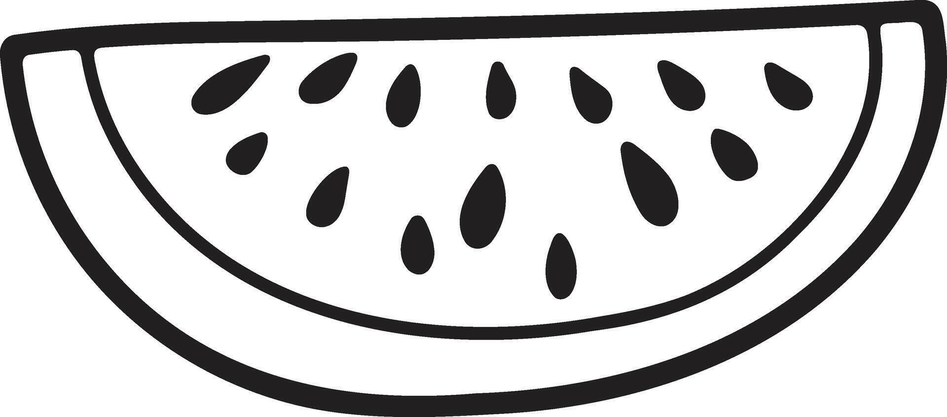Hand Drawn watermelon in flat style vector
