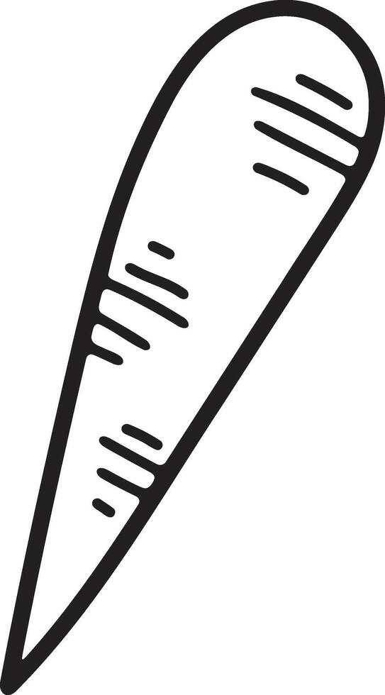 Hand Drawn carrot in flat style vector