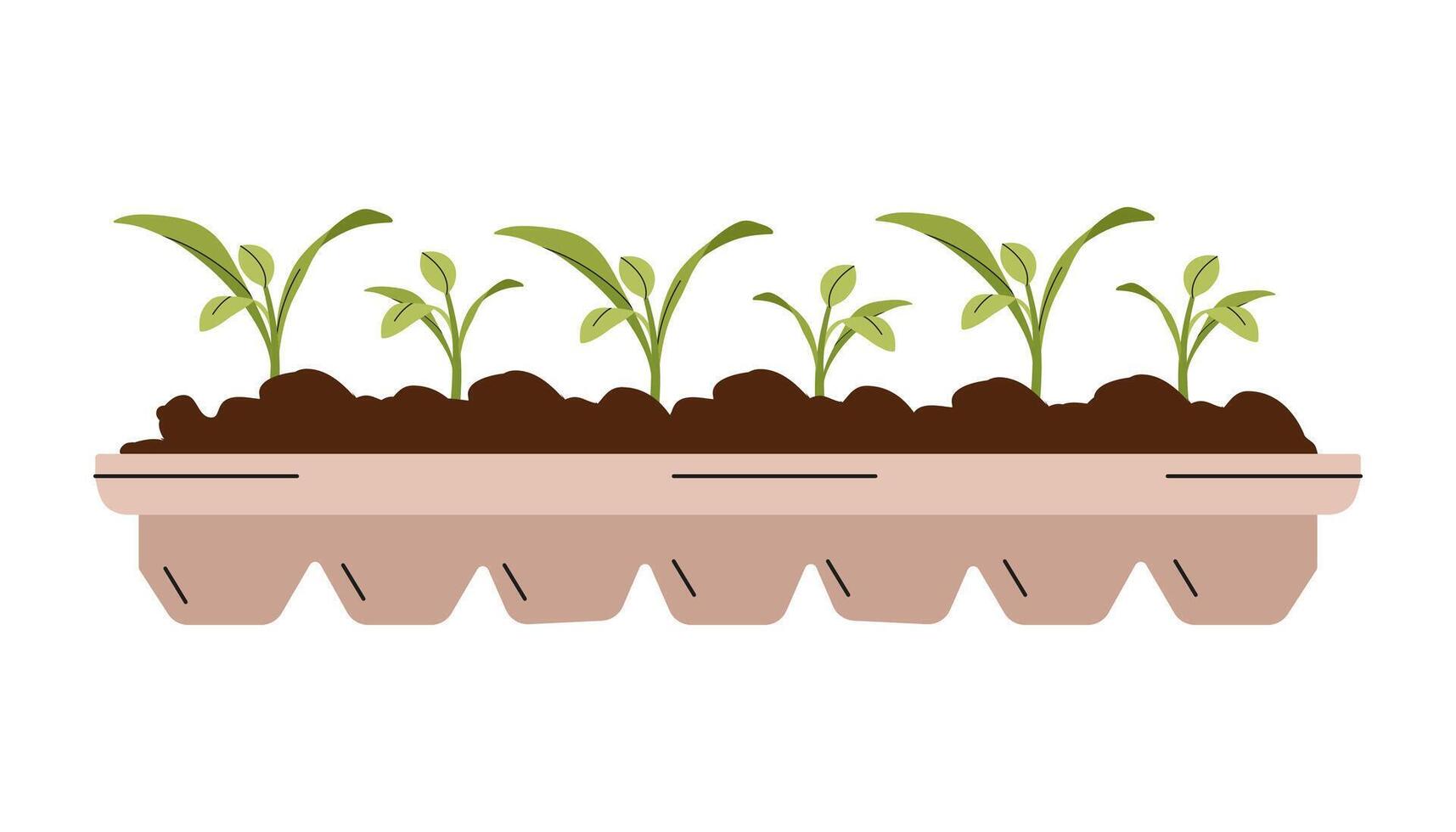 Vegetable seedlings growing at soil in pot. Green sprouts of plant. Gardening outdoor. Young seedling in ground. Caring for nature and ecology. Sustainable natural resources. Vector flat illustration.
