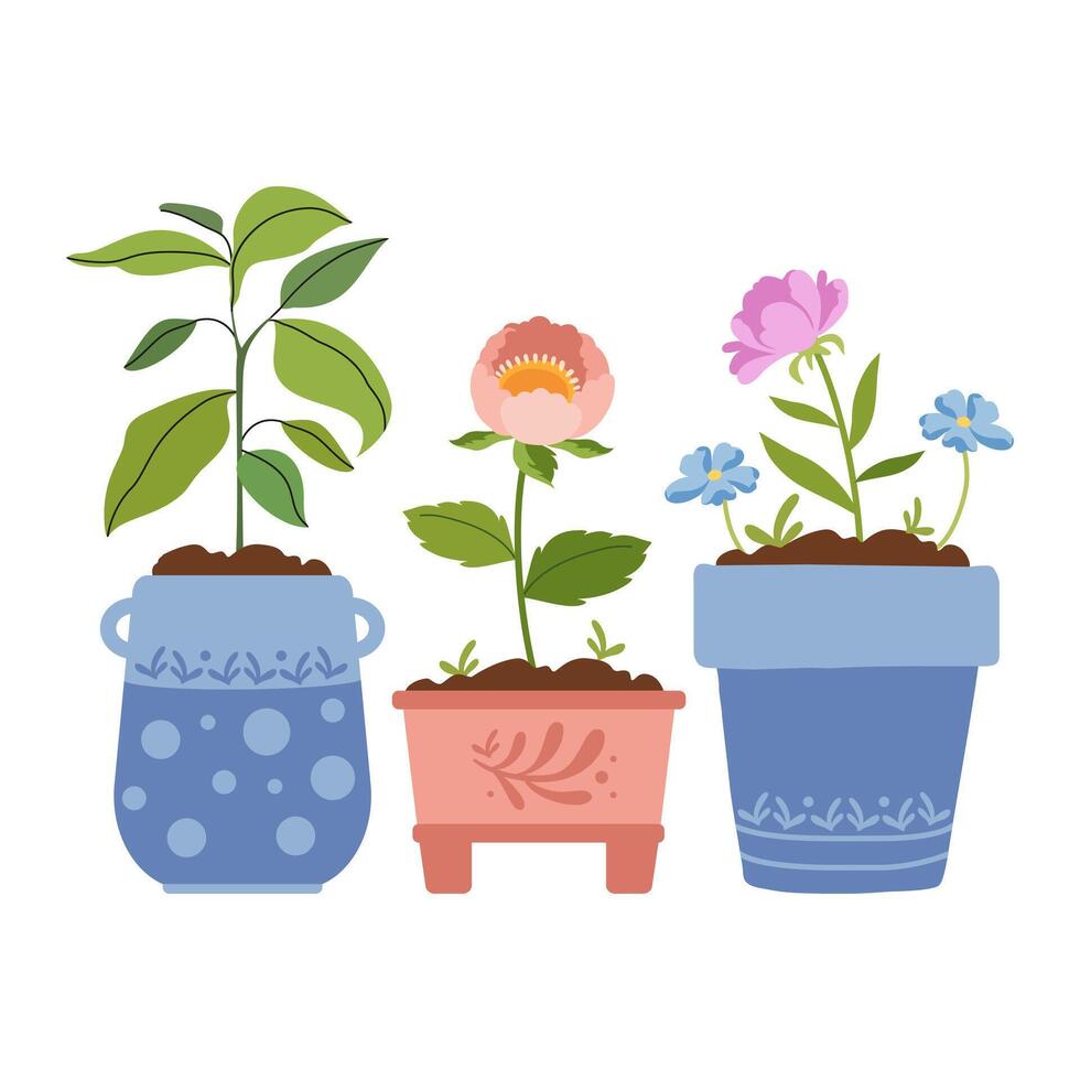 Set of decorative home flowers in pots. Home garden composition. Spring or summer. Care of plants. Hobbies, trendy home decor, taking care of plants. Green plants. Vector flat illustration.
