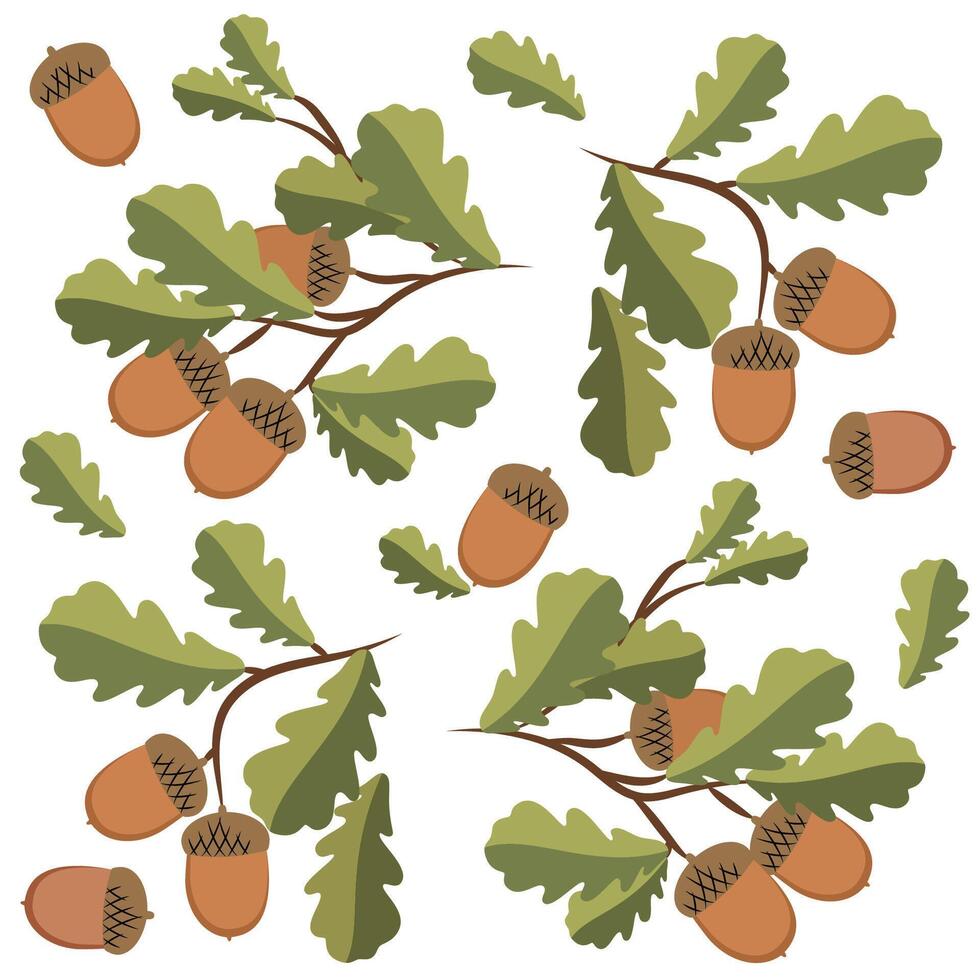 Vector illustration of an oak branch with leaves and acorns, as well as individual acorns