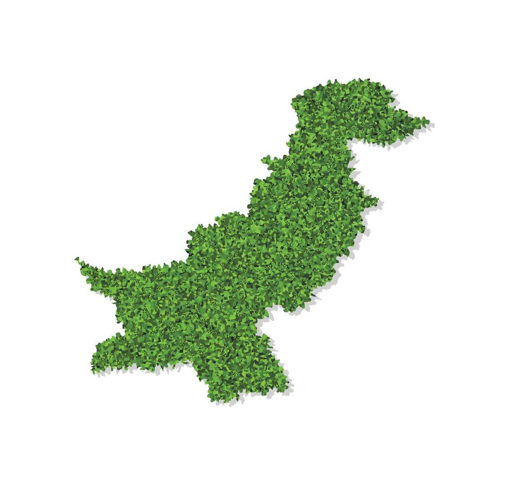 Vector isolated simplified illustration icon with green grassy silhouette of Pakistan map. White background