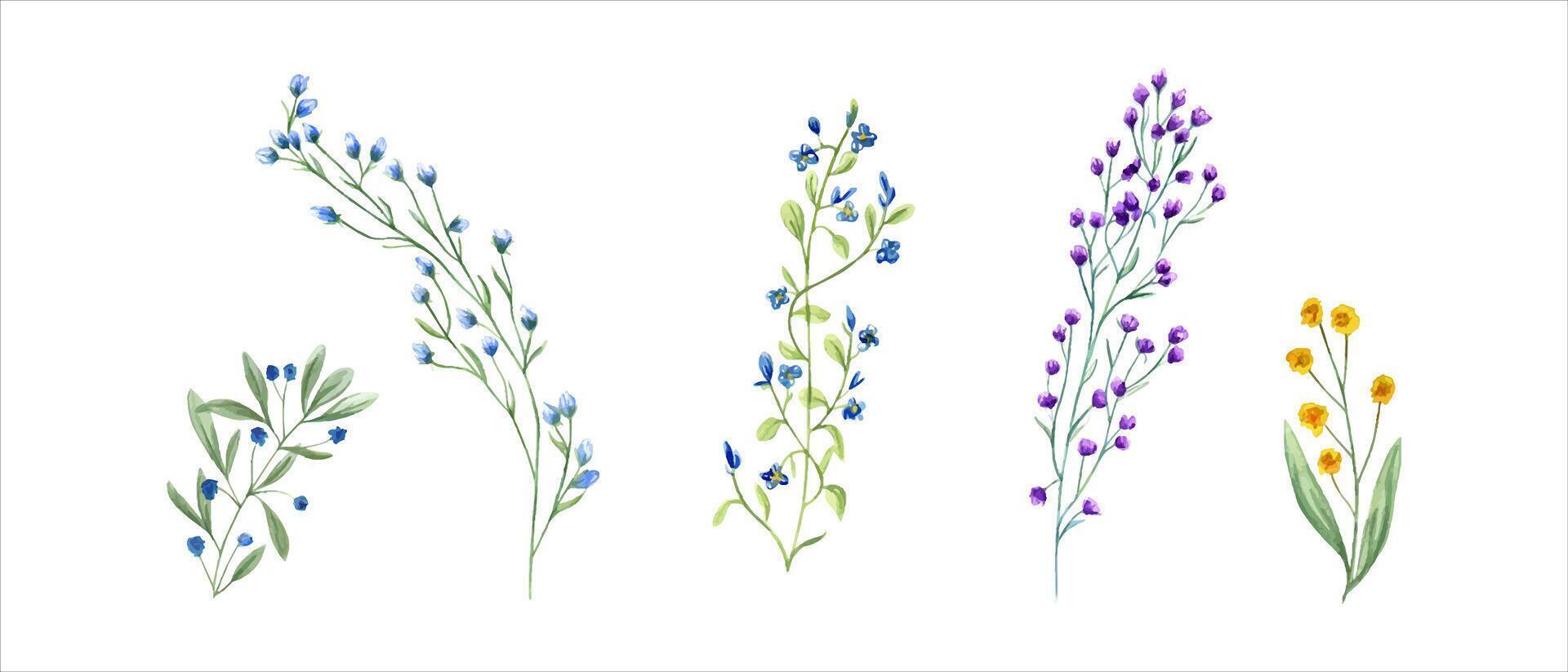 Meadow herbs, plants. Wildflower clip art. Yellow, blue abstract flower, green grass. Simple flowers. Spring, summer greenery. Watercolor illustration. For wedding textile, design. vector