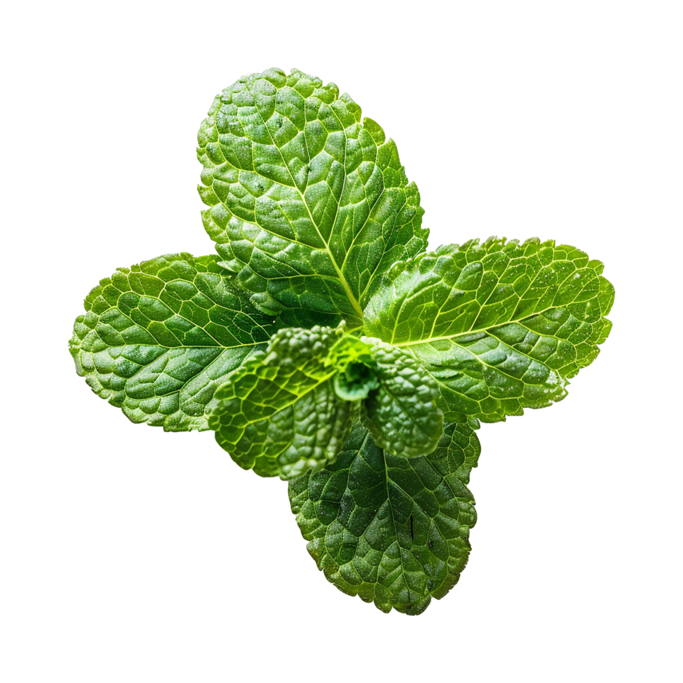 AI generated Top viwe peppermint isolate on transparent background png