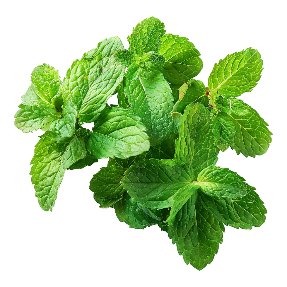 AI generated Top viwe peppermint isolate on transparent background png